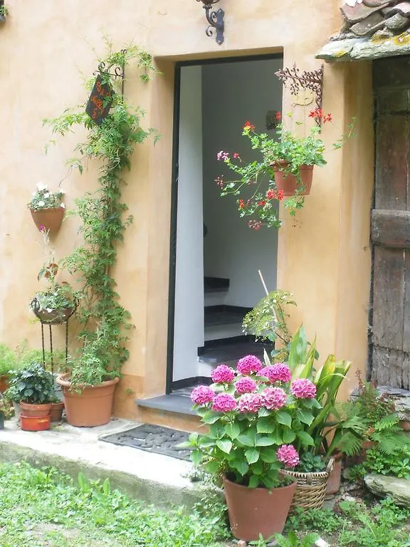B&B Nelly G Carbuta