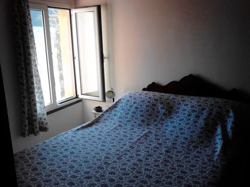 B&B Nelly G Carbuta