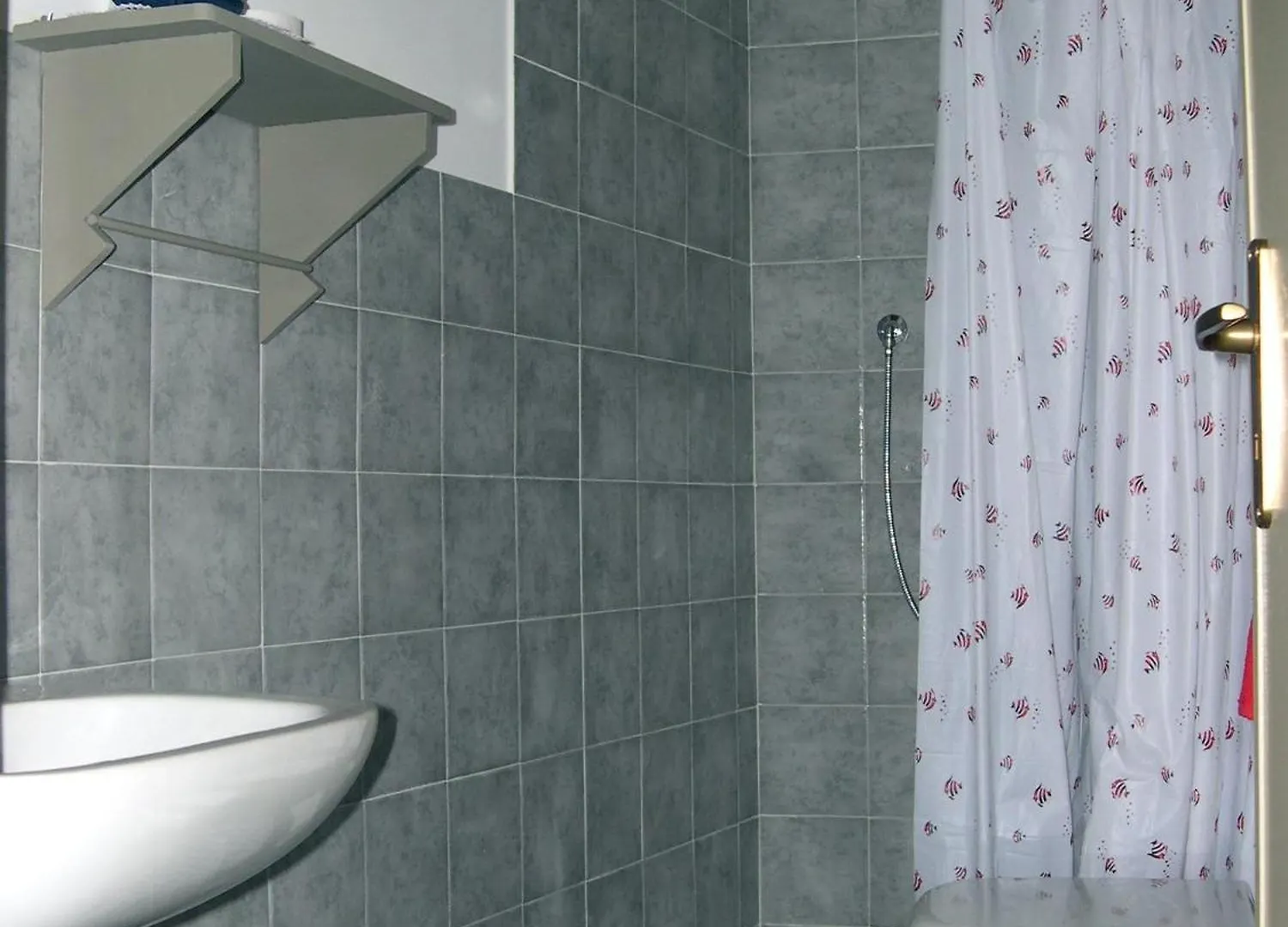 B&B Nelly G Carbuta