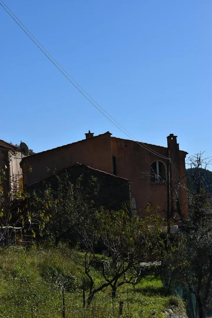 B&B Nelly G Carbuta